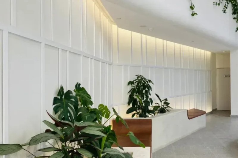 A pale reception area with a fluted wall, planting and a flush ceiling, where the ceiling plane reads as part of the interior finish — Acoustic Panels Australia
