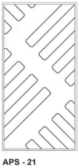 APS21