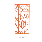 QS-1